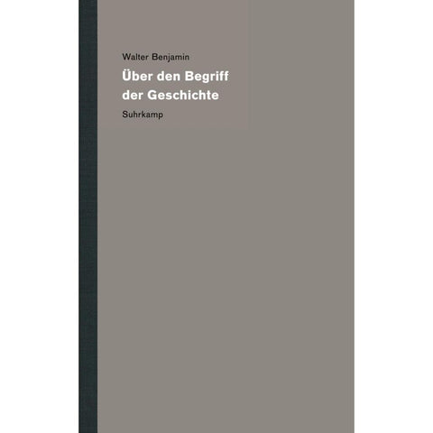 Werke und Nachlaß. Kritische Gesamtausgabe 19