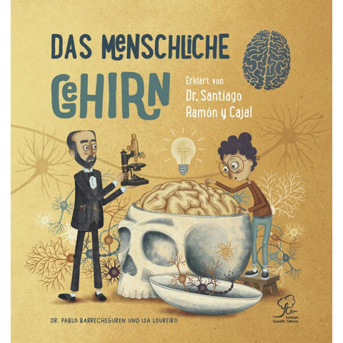 Das Menschliche Gehirn