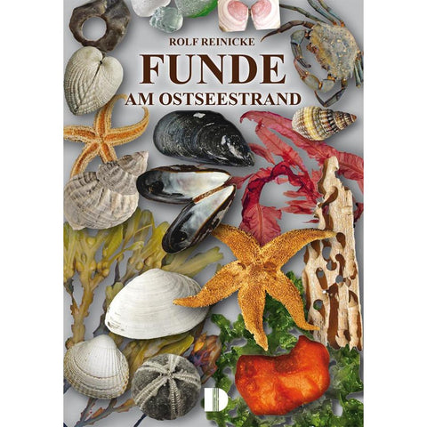 Funde am Ostseestrand