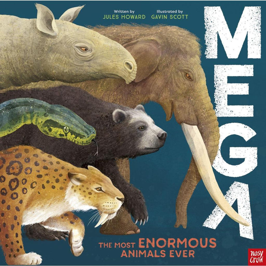 B00000026486505.jpg