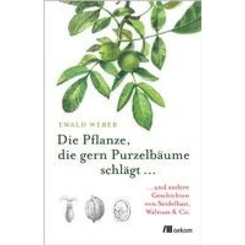 Die Pflanze, die gern Purzelbäume schlägt ...