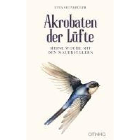 Akrobaten der Lüfte - Meine Woche mit den Mauerseglern