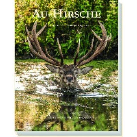 Au-Hirsche