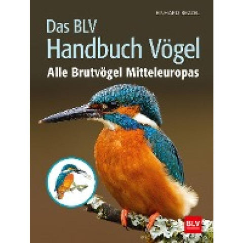 Das BLV Handbuch Vögel