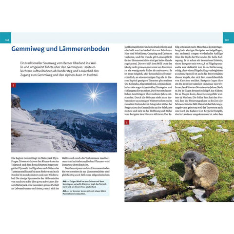 An wilden Wassern und stillen Ufern