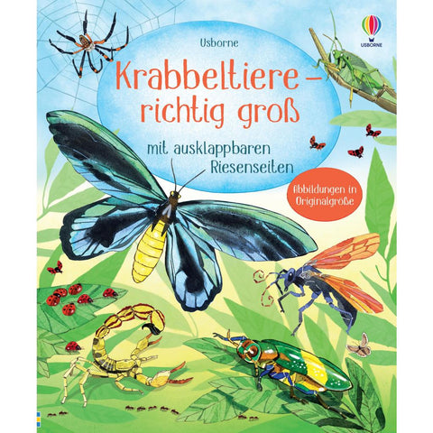Krabbeltiere - richtig groß