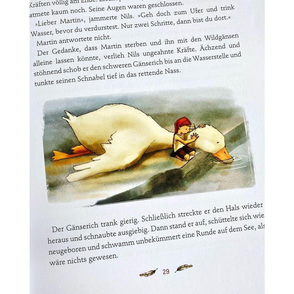 B00000035206641.jpg