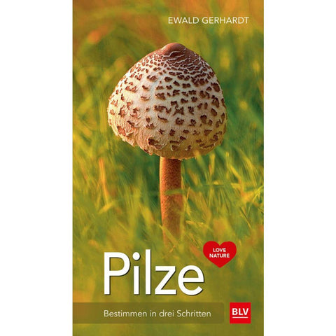 Pilze