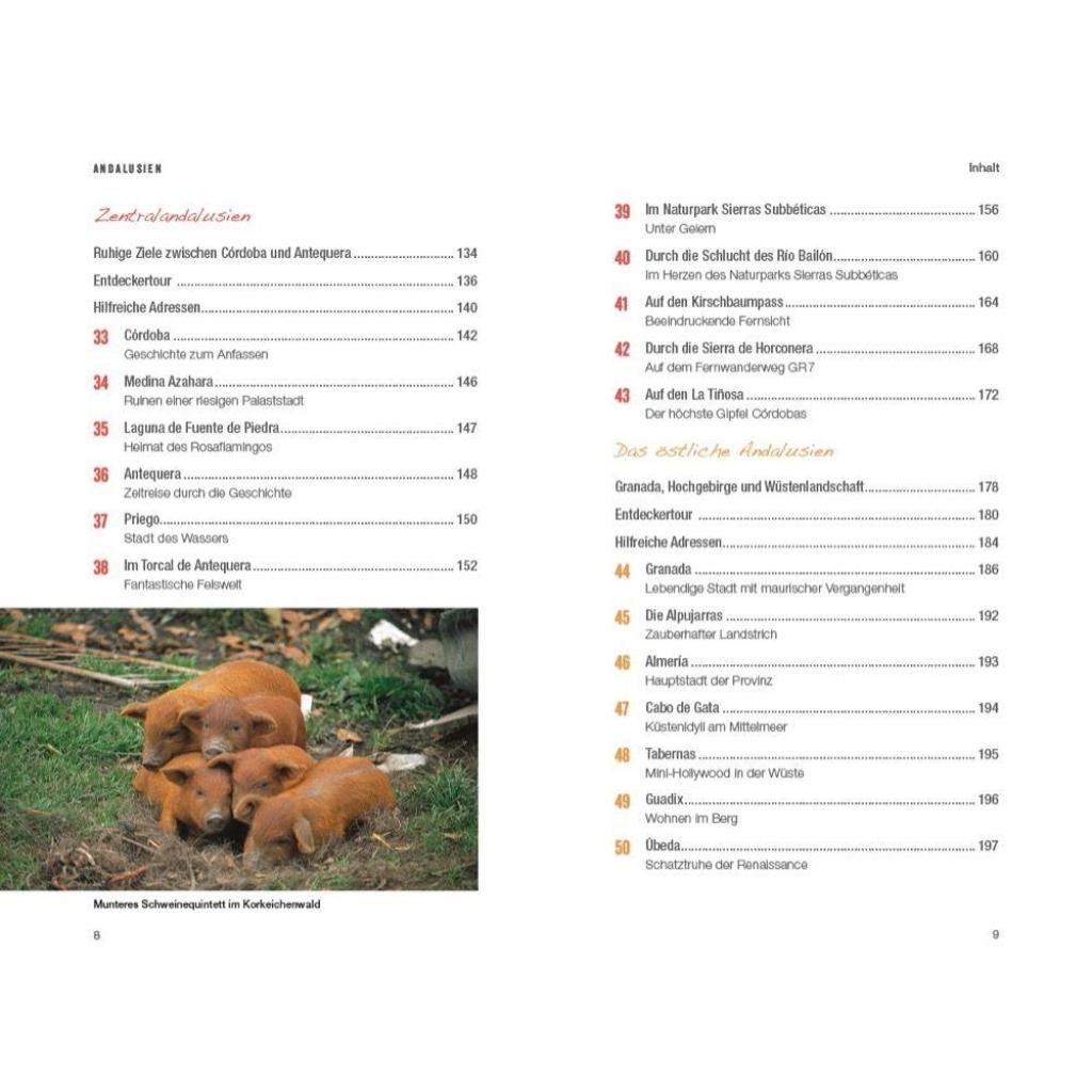 B00000035940111.jpg