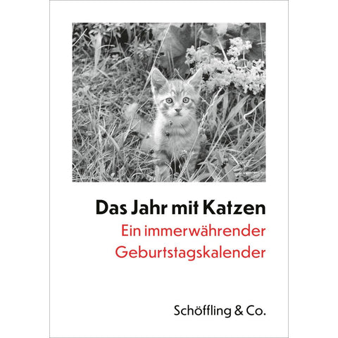 Das Jahr mit Katzen