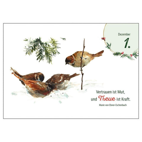 Heimische Tiere im Winter - der Adventskalender