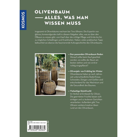 Olivenbaum ganz einfach