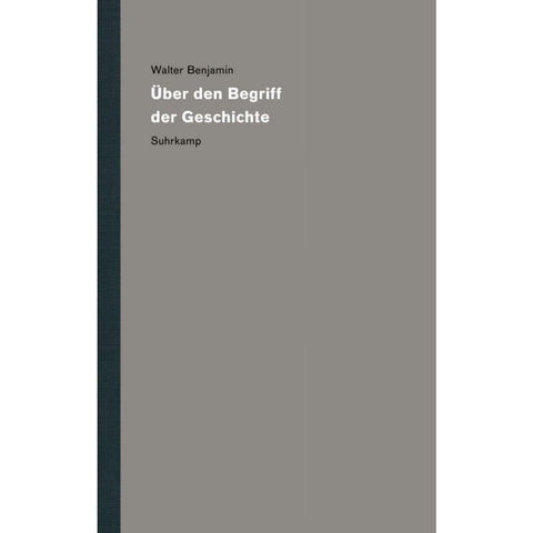 Werke und Nachlaß. Kritische Gesamtausgabe 19