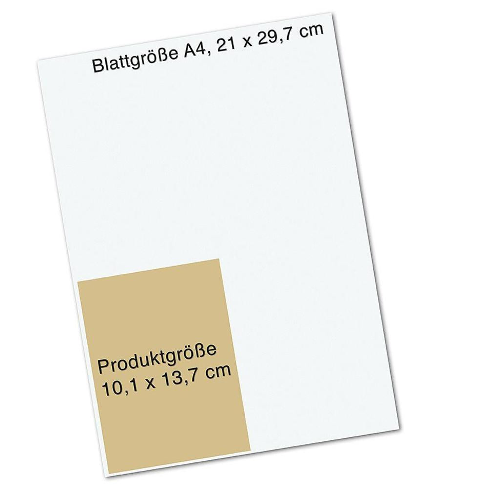 B00000039167663.jpg