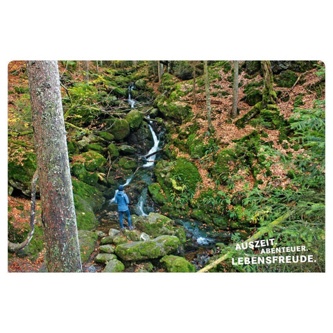 52 kleine & große Eskapaden im Bayerischen Wald