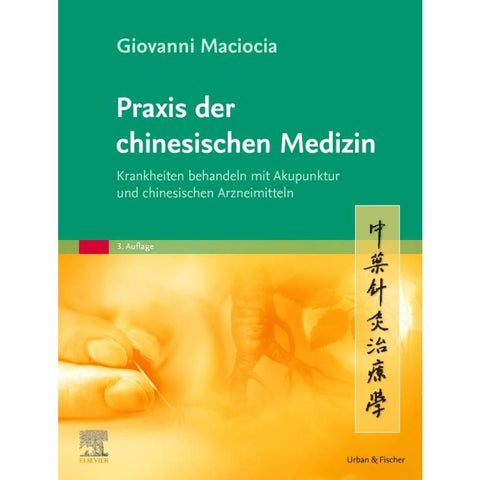 Praxis der chinesischen Medizin