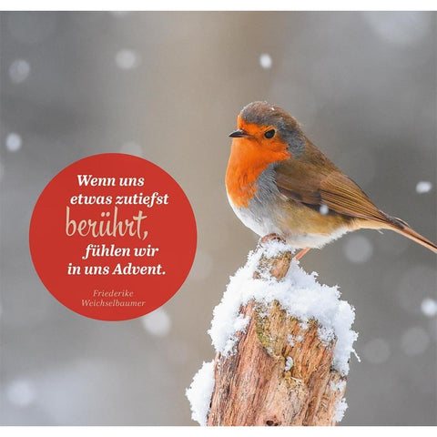 24 zauberhafte Karten für eine himmlische Adventszeit