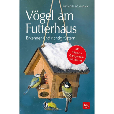Vögel am Futterhaus