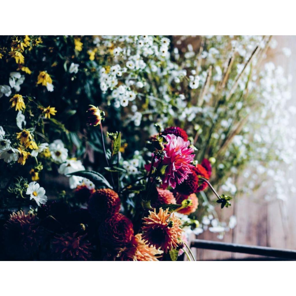 B00000040772643.jpg