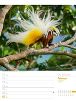 Vögel Wochenplaner Kalender 2027