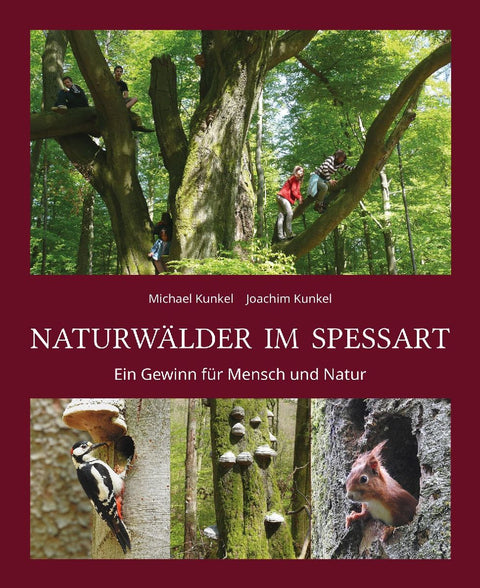 Naturwälder im Spessart