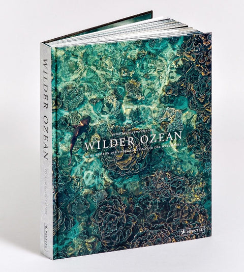 Wilder Ozean