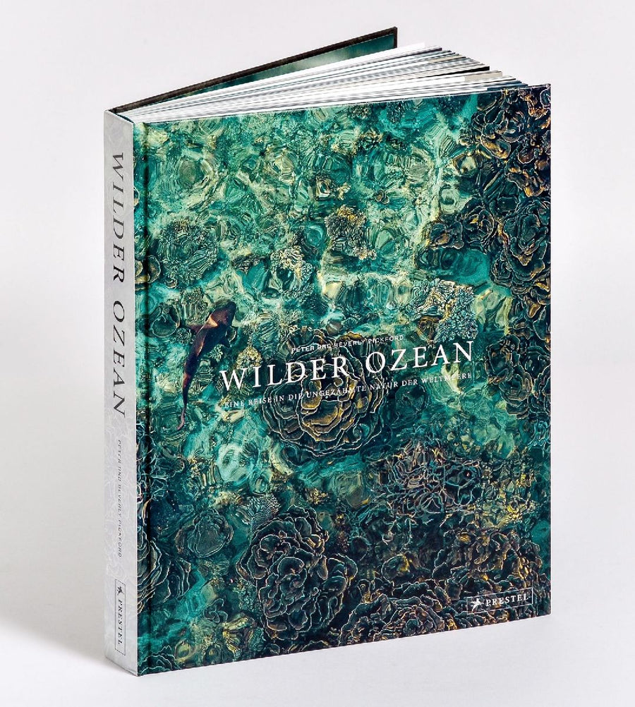 Wilder Ozean