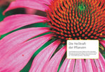 Grüne Apotheke