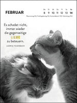 Wochenkalender 2027: Goldene Katzenweisheiten für jeden Tag (Innenansicht)