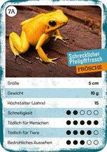 Das tödliche Quartett (Innenansicht)
