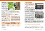 Fujifilm X-E3 / X-E4 (Innenansicht)