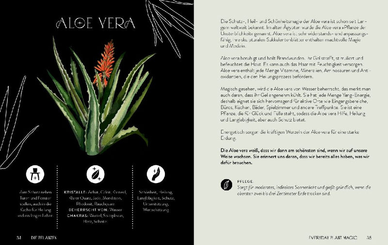 Everyday Plant Magic (Innenansicht)