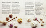 Knoblauch
