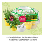 Kräutergarten (Innenansicht)