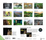Kalender Mythos Wald 2027