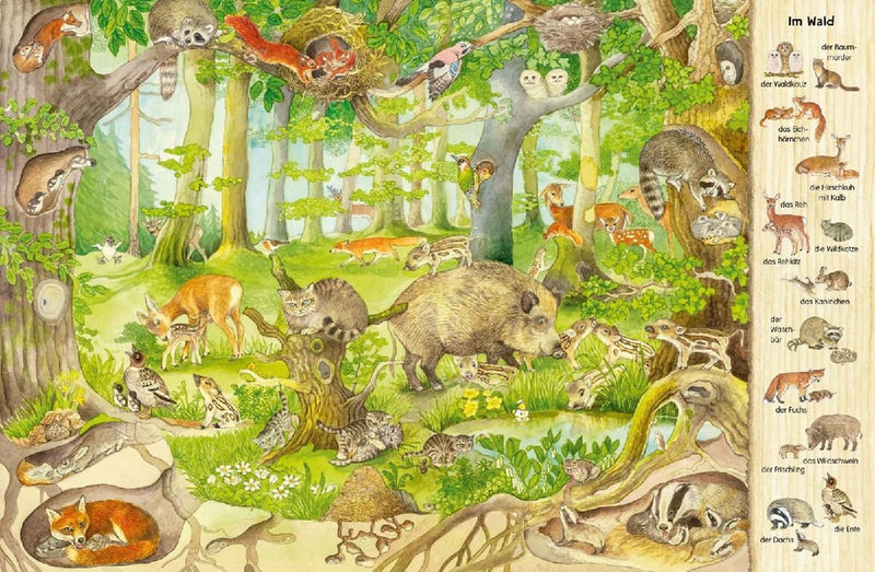 Das 1000 Tiere-Wimmelbuch (Innenansicht)