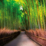 Inside Japan 2027