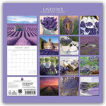 Lavender - Lavendel 2027 - 16-Monatskalender