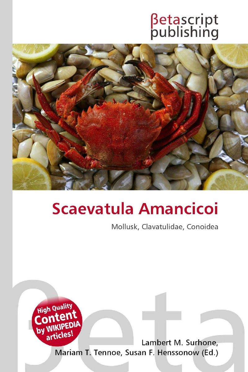 Scaevatula Amancicoi