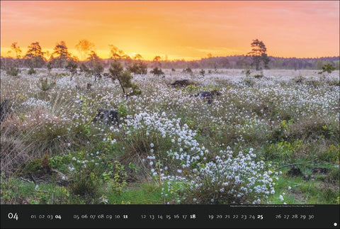 Deutschlands Naturparadiese Kalender 2027 - Edition Alexander von Humboldt Kalender 2027