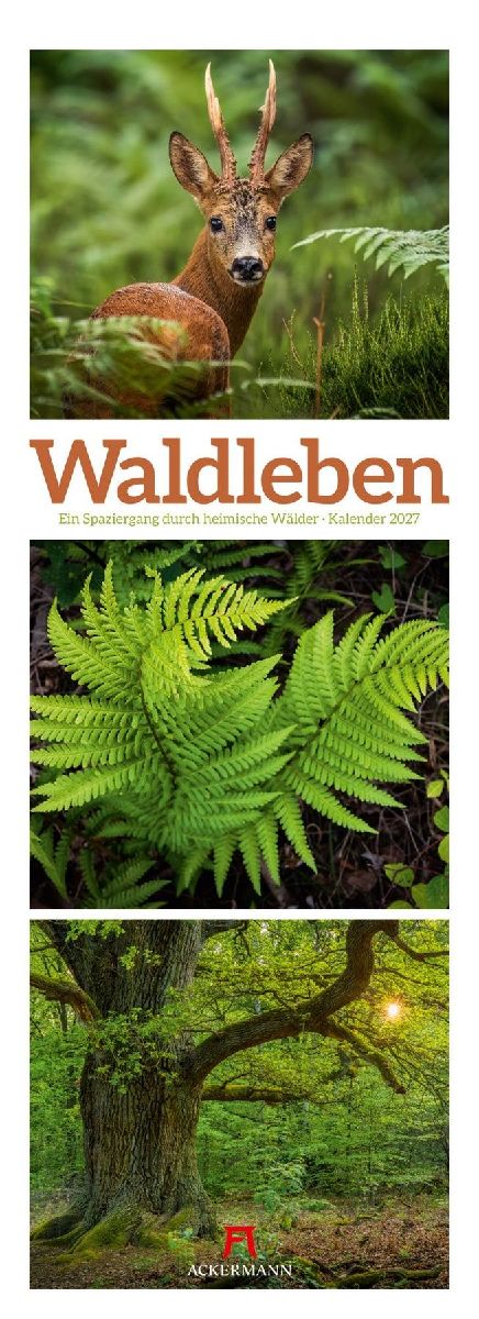 Waldleben Triplet-Kalender 2027 | Spaziergang durch heimische Wälder