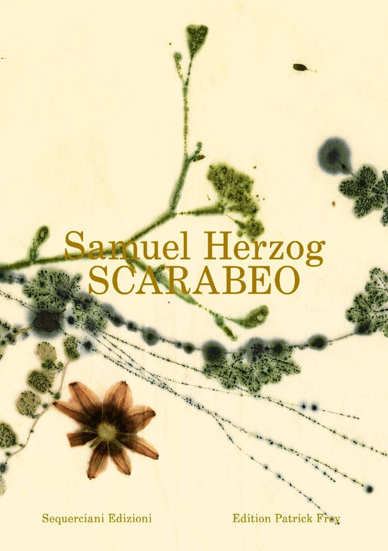 Scarabeo (EN)