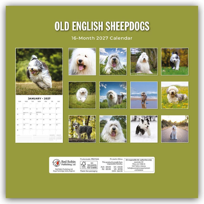 Old English Sheepdogs - Bobtail 2027 - 16-Monatskalender (Rückseite)