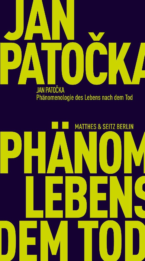Phänomenologie des Lebens nach dem Tod