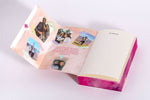 Chasing Our Forever - Based on Roxy's & Abdul's Story (Innenansicht)