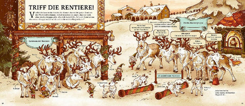 Das geheime Buch von Weihnachten