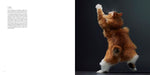 Katzen