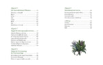 Der Garten der Grünen Magie