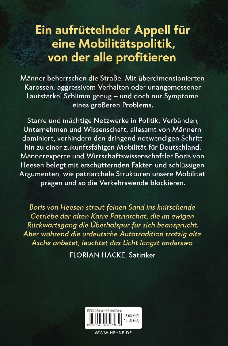 Mann am Steuer (Innenansicht)