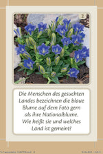 Länderrallye (Innenansicht)